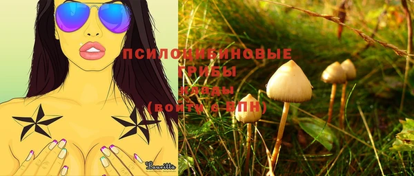 ECSTASY Абаза