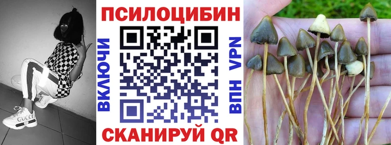 Псилоцибиновые грибы Psilocybine cubensis  Екатеринбург 