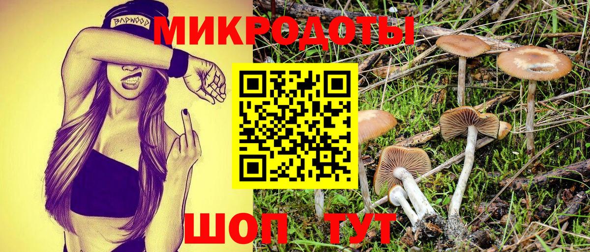 Галлюциногенные грибы Cubensis  Вход с VPN  Екатеринбург  Галлюциногенные грибы Psilocybe 